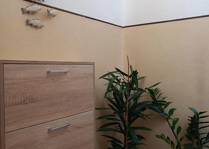 Ca'pperini * 키오자